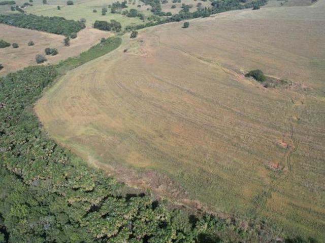 Sítio e chácara venda em Região Geográfica Imediata de Piracanjuba, Piracanjuba