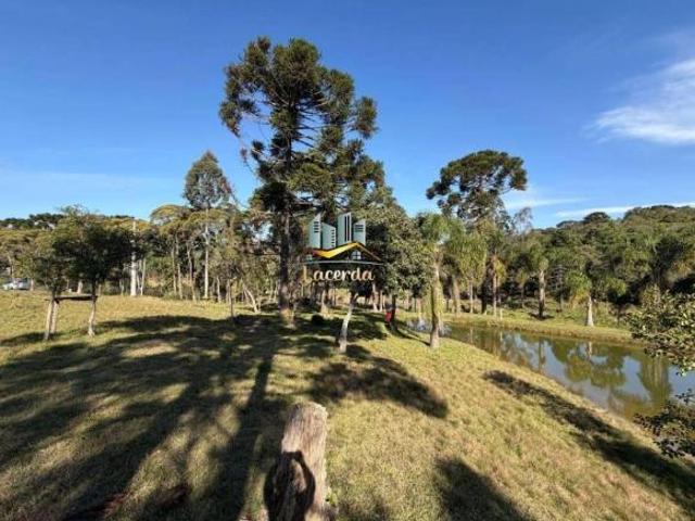 Sítio e chácara venda em Região Geográfica Imediata de Curitiba, Região Metropolitana de Curitiba