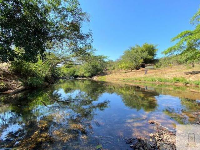 Sítio e chácara venda em Região Geográfica Imediata de Anápolis, Região Integrada de Desenvolvimento do Distrito Federal e Entorno
