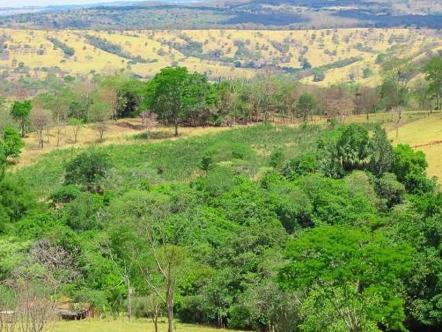 Sítio e chácara venda em Região Geográfica Imediata de Anápolis, Região Integrada de Desenvolvimento do Distrito Federal e Entorno
