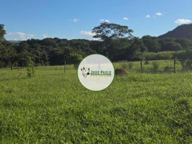 Sítio e chácara venda em Região Geográfica Imediata do Distrito Federal, Região Integrada de Desenvolvimento do Distrito Federal e Entorno