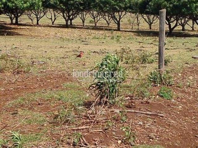 Sítio e chácara venda em Região Geográfica Imediata de Paranavaí, Alto Paraná