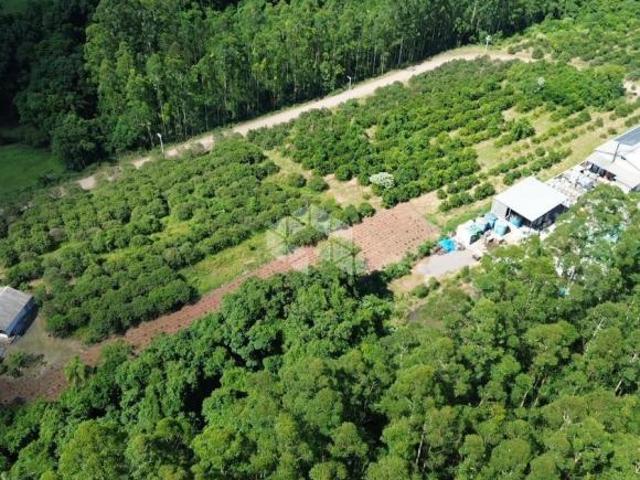 Sítio e chácara venda em Região Geográfica Imediata de Novo Hamburgo - São Leopoldo, São José do Hortencio