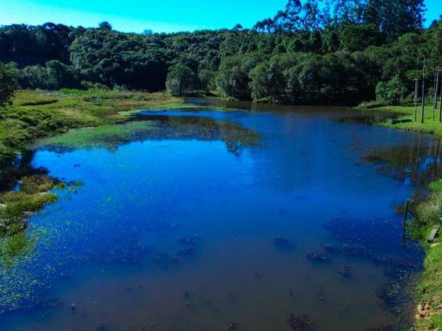 Sítio e chácara venda em Região Geográfica Imediata de Curitiba, Região Metropolitana de Curitiba