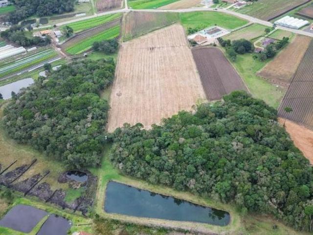 Sítio e chácara venda em Região Geográfica Imediata de Curitiba, Região Metropolitana de Curitiba