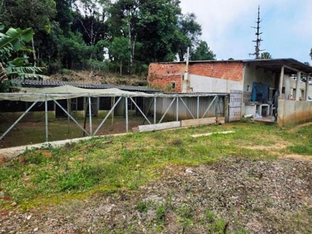Sítio e chácara venda em Região Geográfica Imediata de Curitiba, Região Metropolitana de Curitiba