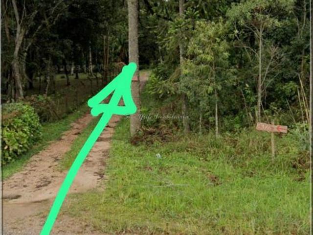 Sítio e chácara venda em Região Geográfica Imediata de Curitiba, Região Metropolitana de Curitiba