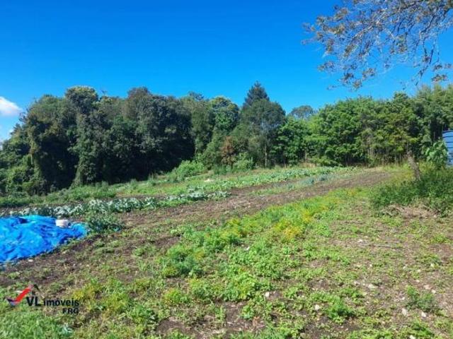 Sítio e chácara venda em Região Geográfica Imediata de Curitiba, Região Metropolitana de Curitiba
