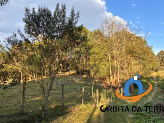 Sítio e chácara venda em Região Geográfica Imediata de Curitiba, Região Metropolitana de Curitiba