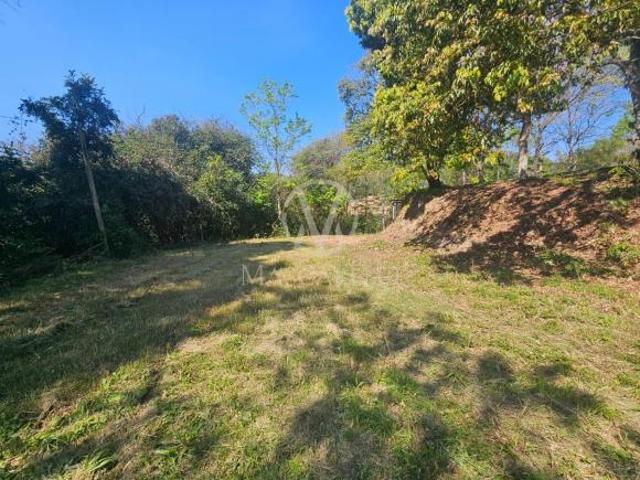 Sítio e chácara venda em Região Geográfica Imediata de Caxias do Sul, Caxias do Sul