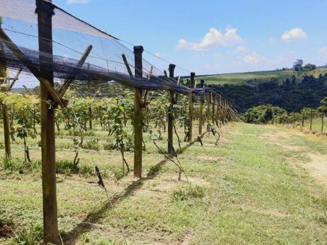 Sítio e chácara venda em Residencial Alvorada, São Miguel Arcanjo