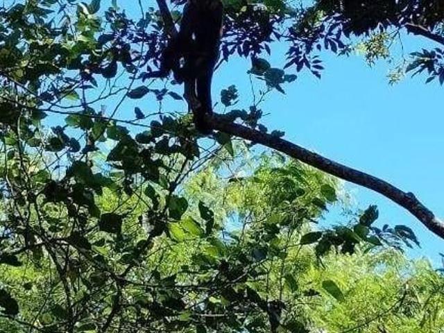 Sítio e chácara venda em Região Imediata de Piracicaba, Região Metropolitana de Piracicaba