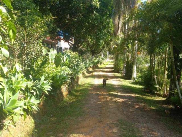 Sítio e chácara venda em São João Velho, São Roque