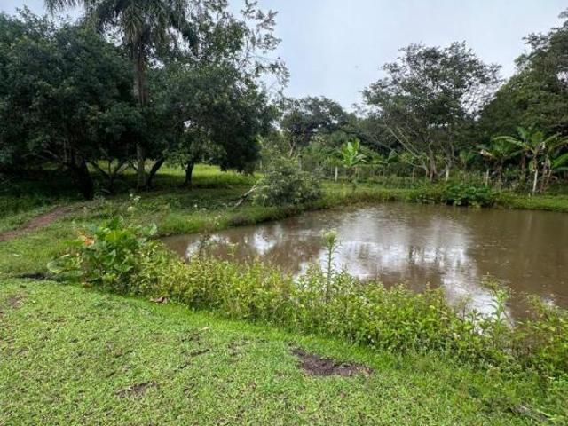 Sítio e chácara venda em Região Imediata de São Paulo, Região Metropolitana de São Paulo