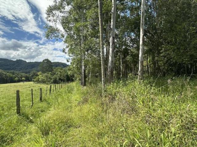 Sítio e chácara venda em Região Geográfica Imediata de Novo Hamburgo - São Leopoldo, Região Metropolitana de Porto Alegre