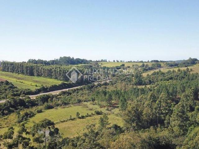 Sítio e chácara venda em Região Geográfica Imediata de Porto Alegre, Região Metropolitana de Porto Alegre
