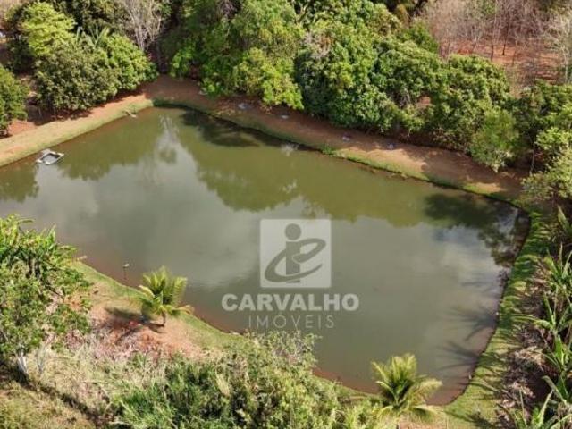 Sítio e chácara venda em Região Geográfica Imediata de Goiânia, Terezópolis de Goiás