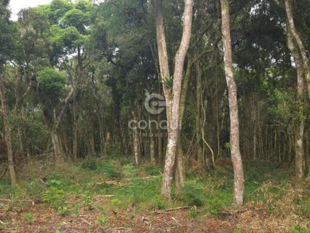 Sítio e chácara venda em Região Geográfica Imediata de Curitiba, Região Metropolitana de Curitiba
