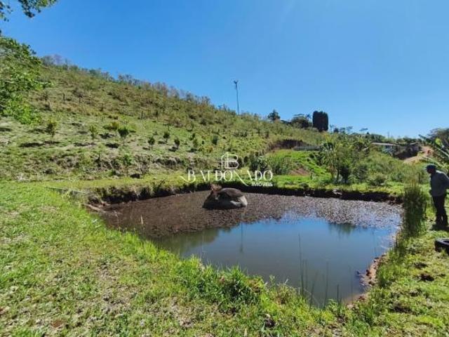 Sítio e chácara venda em Região Geográfica Imediata de Pouso Alegre, Região Sudeste