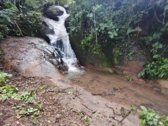 Sítio e chácara venda em Região Geográfica Imediata de Pouso Alegre, Região Sudeste