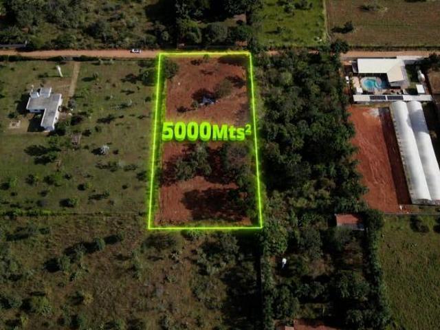 Sítio e chácara venda em Região Geográfica Imediata de Goiânia, Senador Canedo