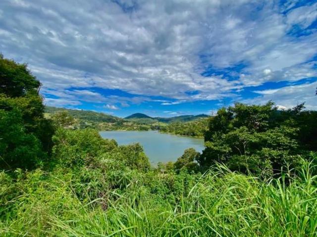 Sítio e chácara venda em Vargem