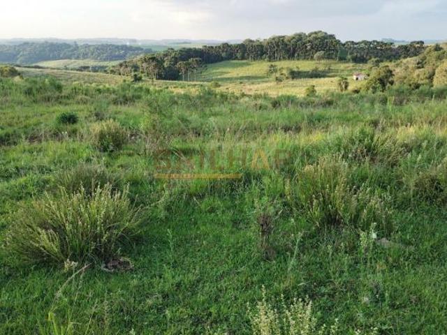 Sítio e chácara venda em Região Geográfica Imediata de Caxias do Sul, Caxias do Sul