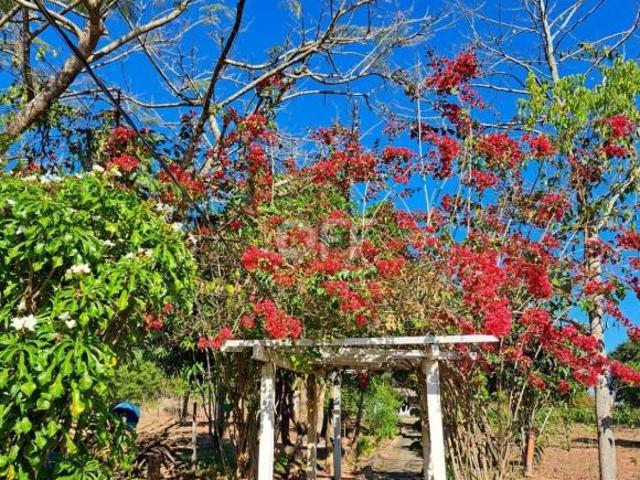 Sítio e chácara venda em Vila Dalva, São Sebastião do Paraíso
