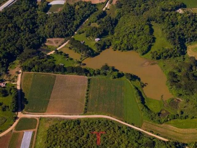Sítio e chácara venda em Região Geográfica Imediata de Curitiba, Região Metropolitana de Curitiba