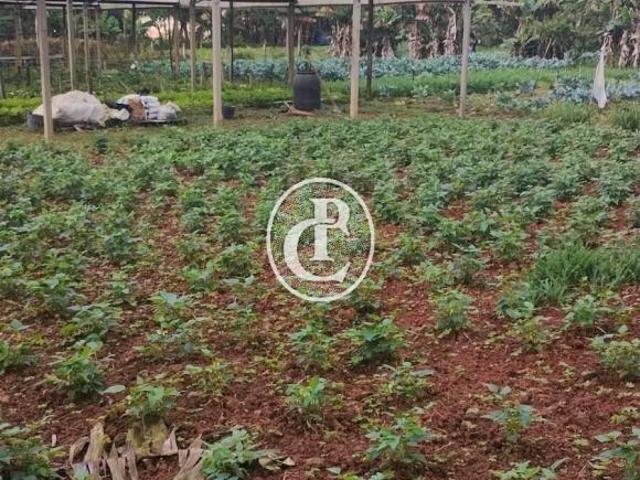 Sítio e chácara venda em Campinas