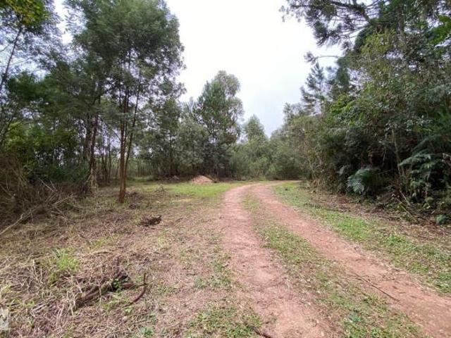 Sítio e chácara venda em Ferraria, Campo Largo