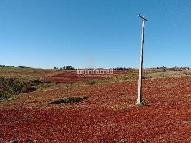 Sítio e chácara venda em Região Geográfica Imediata de Londrina, Londrina