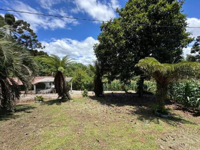 Sítio e chácara venda em Região Geográfica Imediata de Curitiba, Região Metropolitana de Curitiba