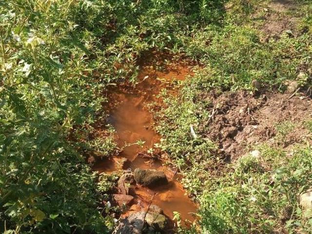 Sítio e chácara venda em Munhoz, Minas Gerais