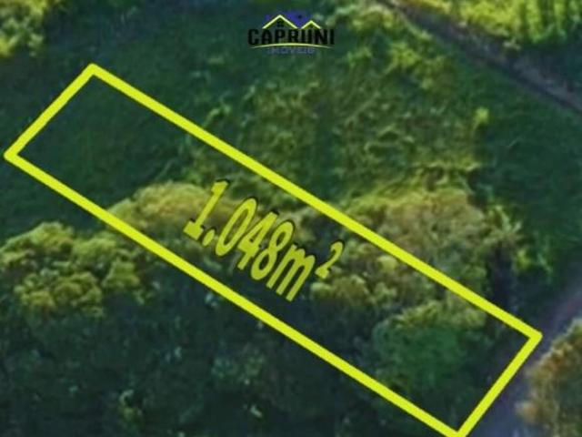 Sítio e chácara venda em Carmópolis de Minas, Região Geográfica Intermediária de Divinópolis