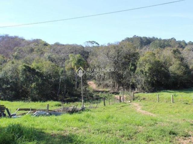 Sítio e chácara venda em Capororoca, Viamão