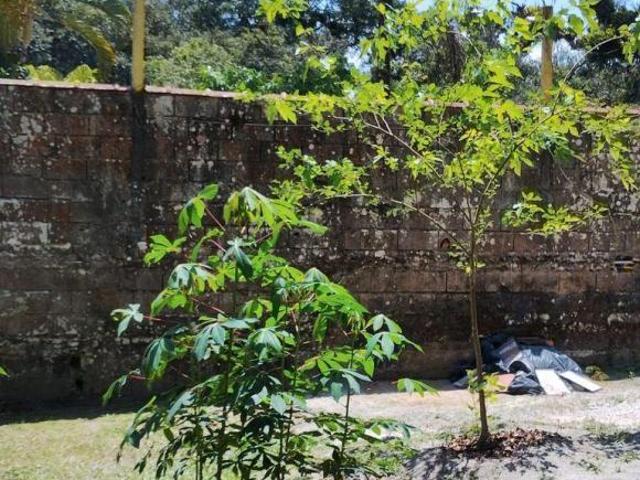 Sítio e chácara venda em Região Imediata de Santos, Região Metropolitana da Baixada Santista
