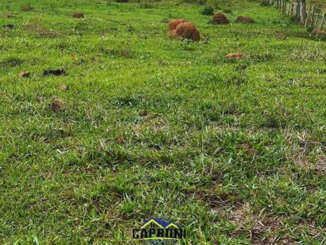 Sítio e chácara venda em Região Geográfica Imediata de Oliveira, Carmópolis de Minas