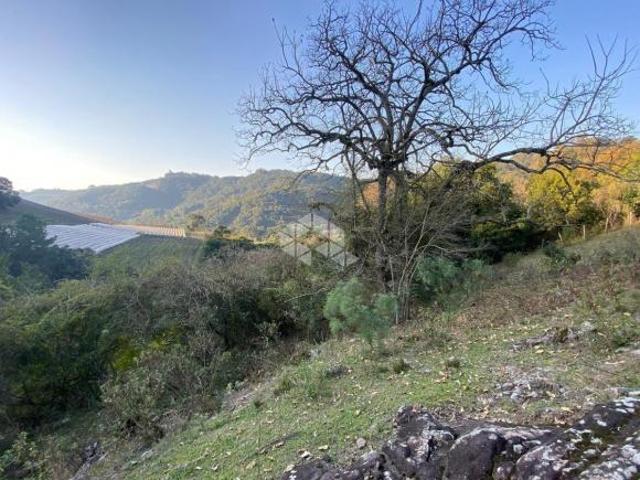 Sítio e chácara venda em Região Geográfica Imediata de Caxias do Sul, Farroupilha