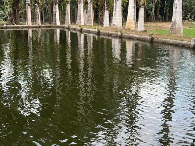 Sítio e chácara venda em Ponte Alta, Morretes