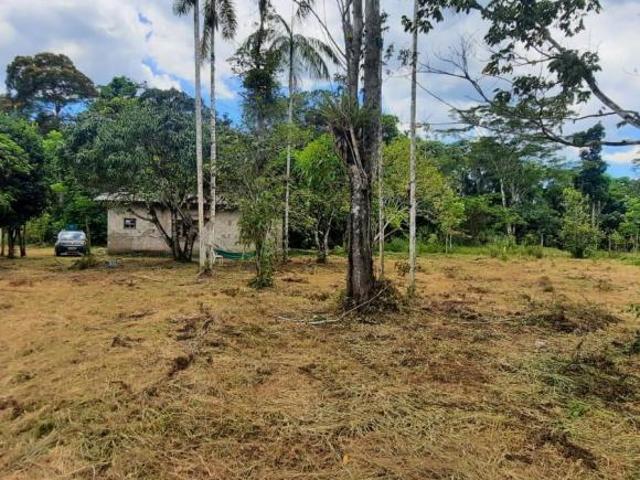 Sítio e chácara venda em Região Imediata de Santos, Região Metropolitana da Baixada Santista