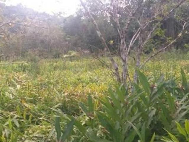 Sítio e chácara venda em Região Imediata de Santos, Região Metropolitana da Baixada Santista