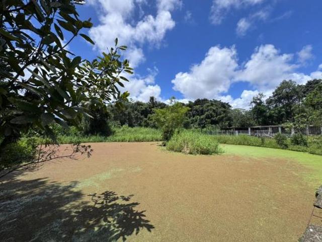 Sítio e chácara venda em Região Imediata de Santos, Região Metropolitana da Baixada Santista