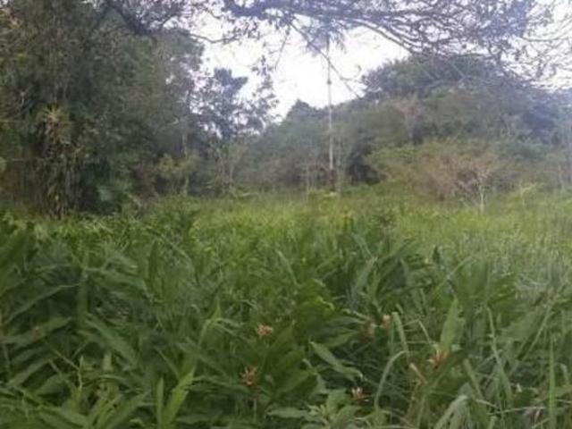 Sítio e chácara venda em Região Imediata de Santos, Região Metropolitana da Baixada Santista