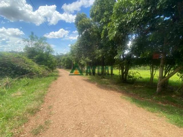 Sítio e chácara venda em Região Geográfica Imediata de Londrina, Londrina