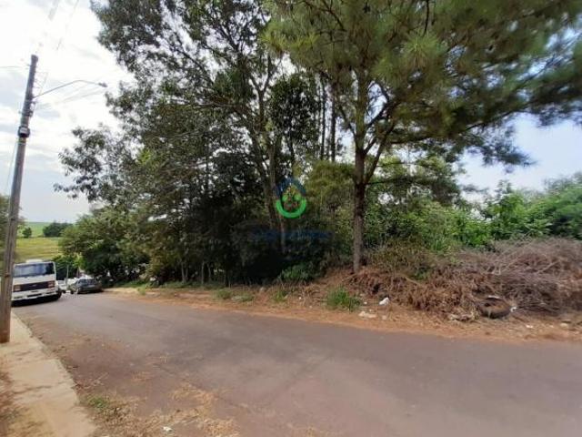 Sítio e chácara venda em Região Geográfica Imediata de Carazinho, Carazinho