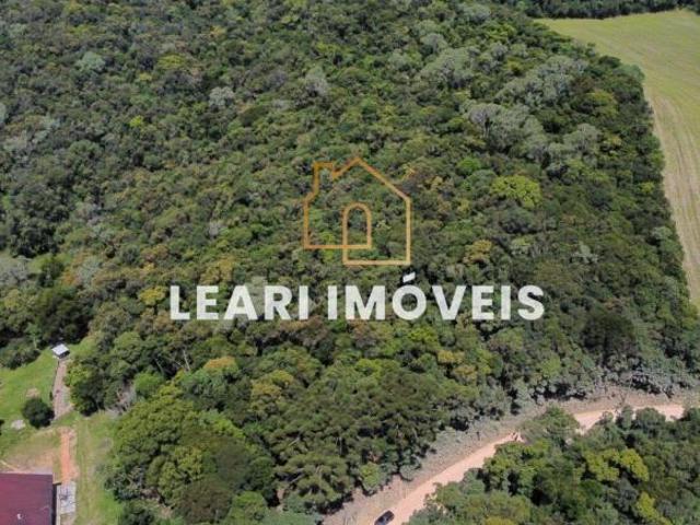 Sítio e chácara venda em Região Geográfica Imediata de Curitiba, Região Metropolitana de Curitiba