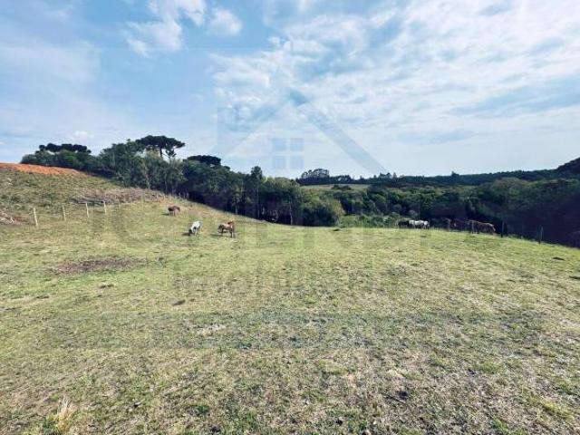Sítio e chácara venda em Região Geográfica Imediata de Curitiba, Região Metropolitana de Curitiba