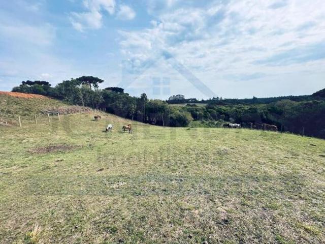 Sítio e chácara venda em Região Geográfica Imediata de Curitiba, Região Metropolitana de Curitiba