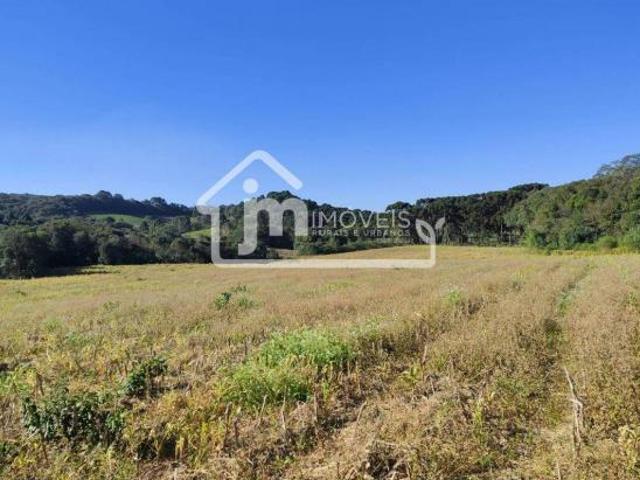 Sítio e chácara venda em Região Geográfica Imediata de Curitiba, Região Metropolitana de Curitiba